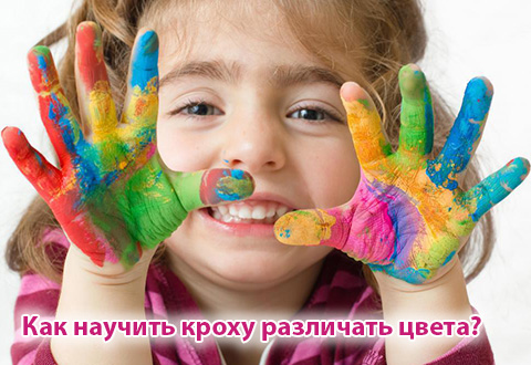 Как научить кроху различать цвета